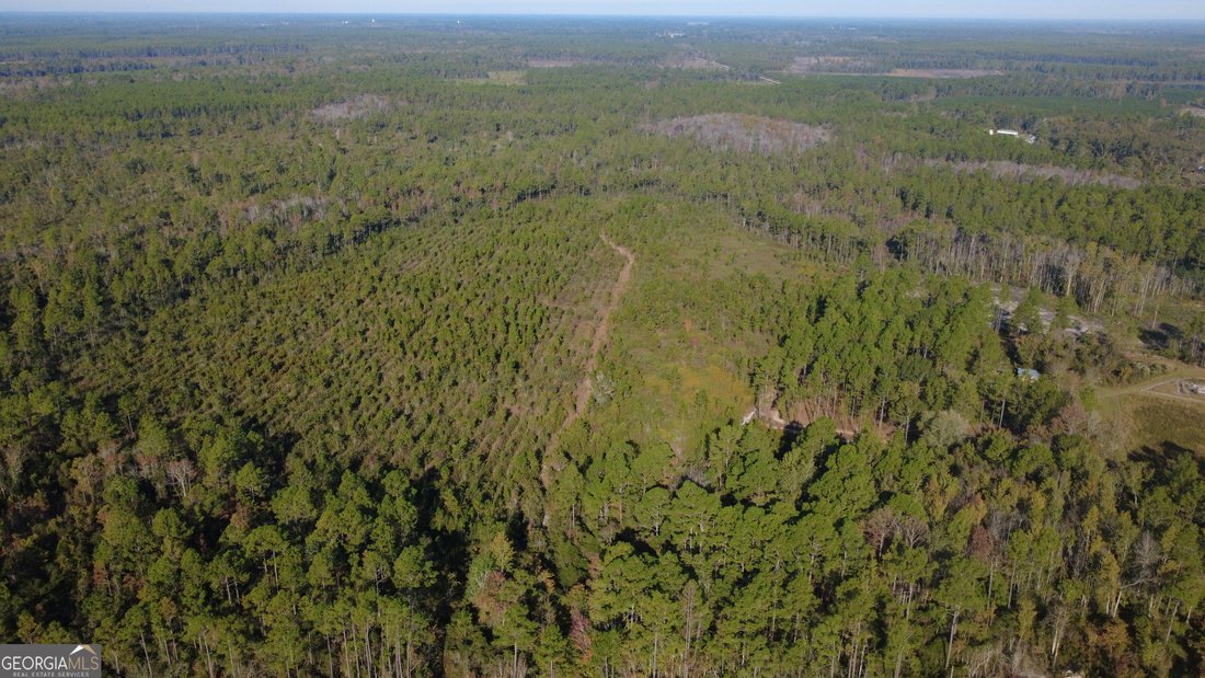 Land in Homerville, Georgia, United States 1 - 17903134