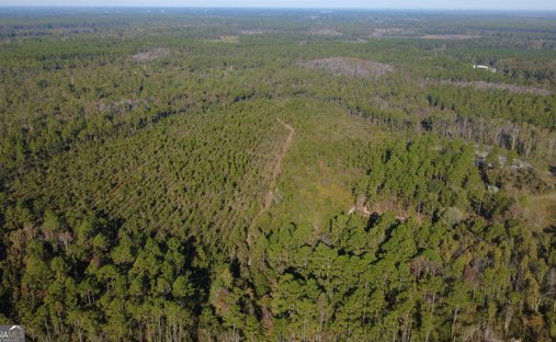 Terrain à Homerville, Géorgie, États-Unis 1