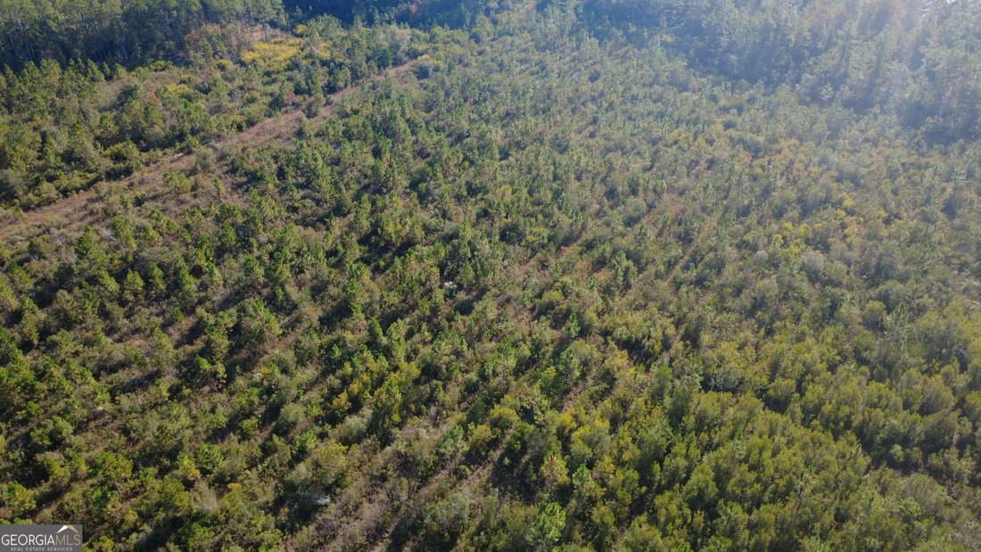 Land in Homerville, Georgia, United States 4 - 17903134
