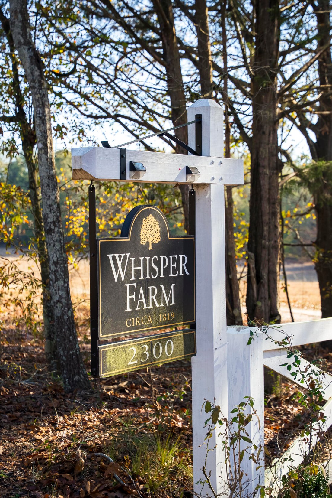 Farm Ranch in Salley, South Carolina, United States 1 - 17903811