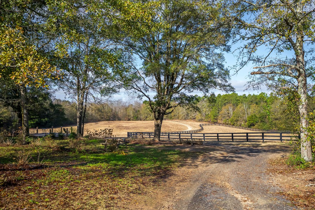 Farm Ranch in Salley, South Carolina, United States 5 - 17903811