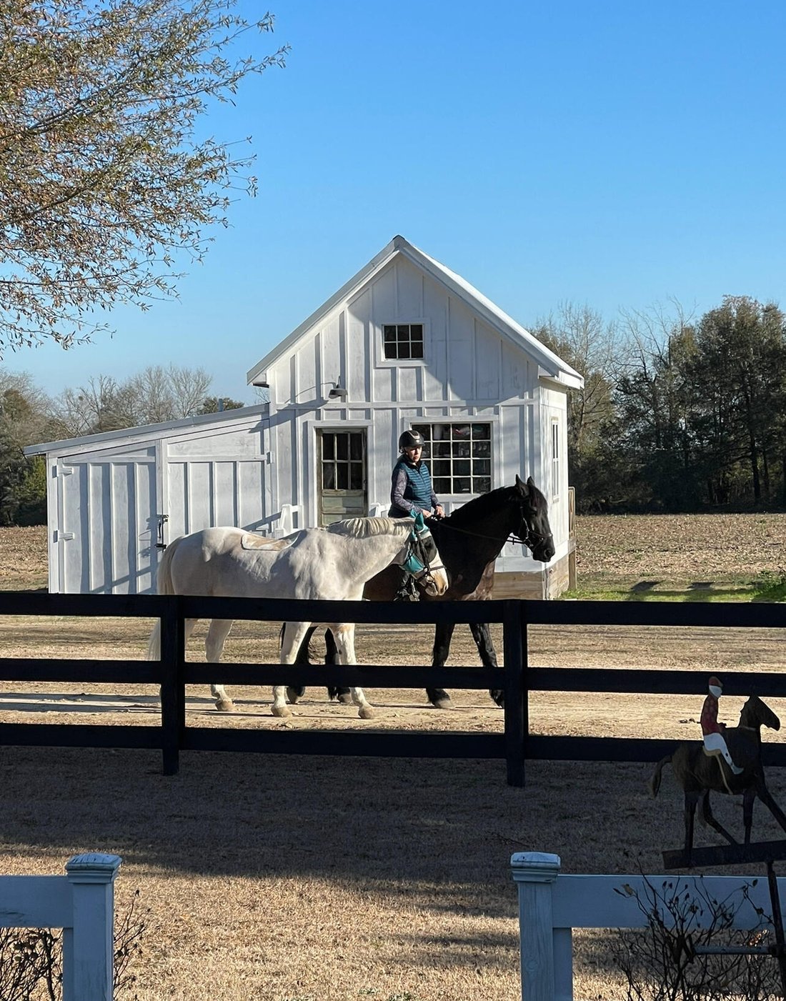 Farm Ranch in Salley, South Carolina, United States 4 - 17903811