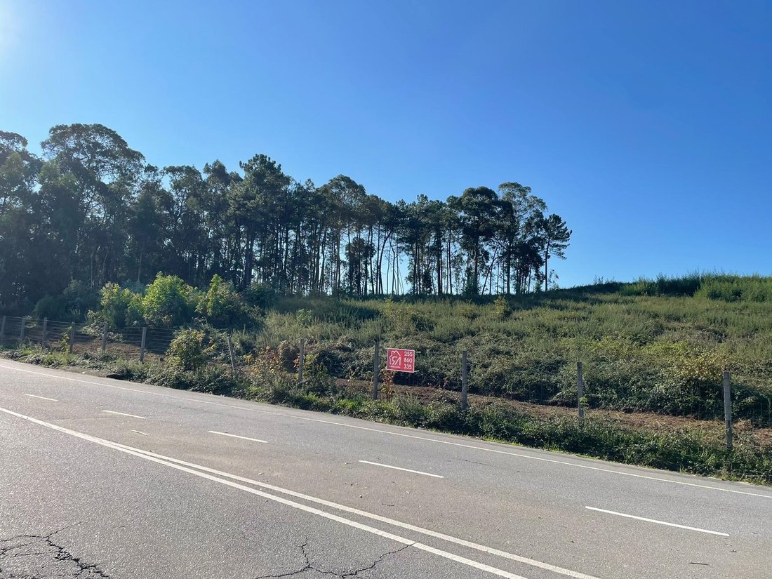 Land in Freamunde, Porto District, Portugal 1 - 17903382
