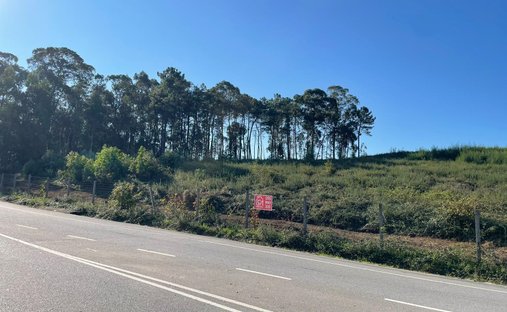 Land in Freamunde, Porto District, Portugal 1