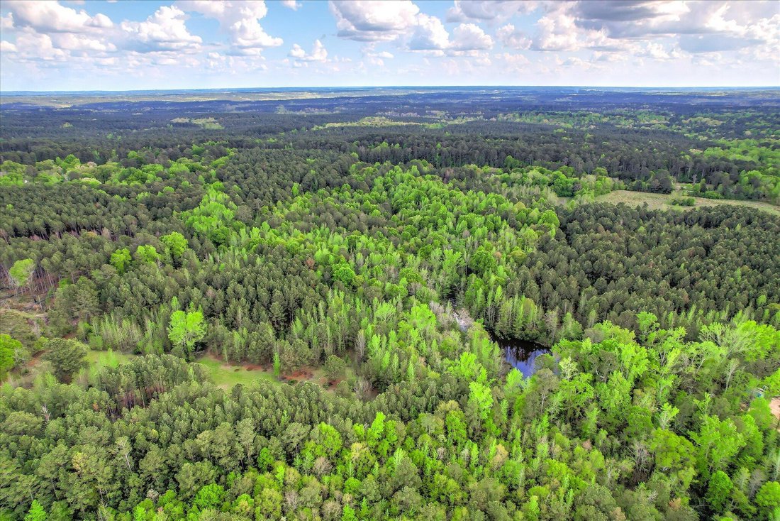 Land in Appling, Georgia, United States 5 - 17903615