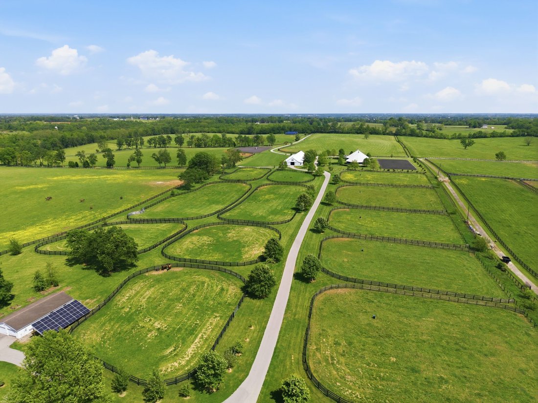 Farm Ranch in Lexington, Kentucky, United States 5 - 17903532