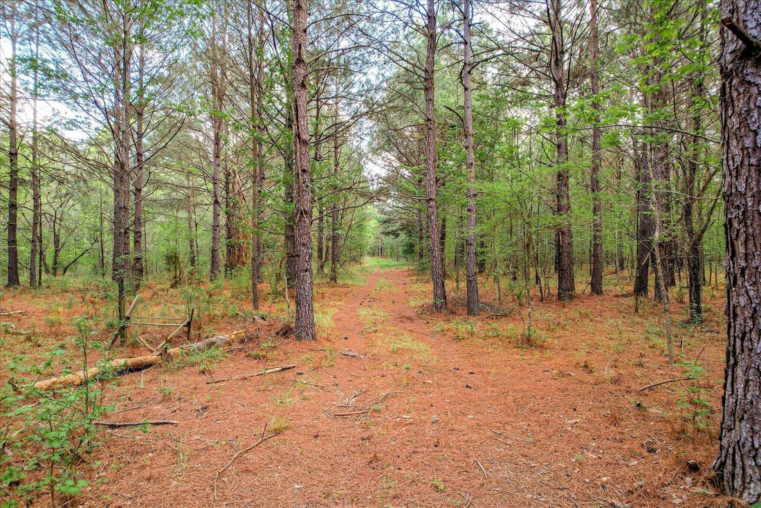 Land in Appling, Georgia, United States 1 - 17903615