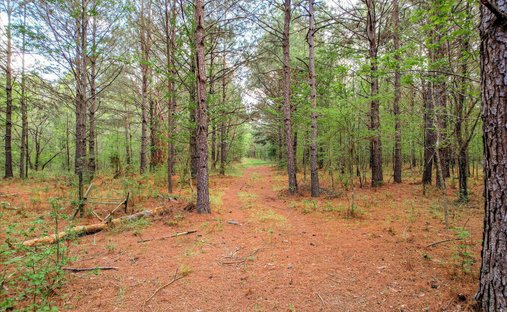 Terreno a Appling, Georgia, Stati Uniti 1