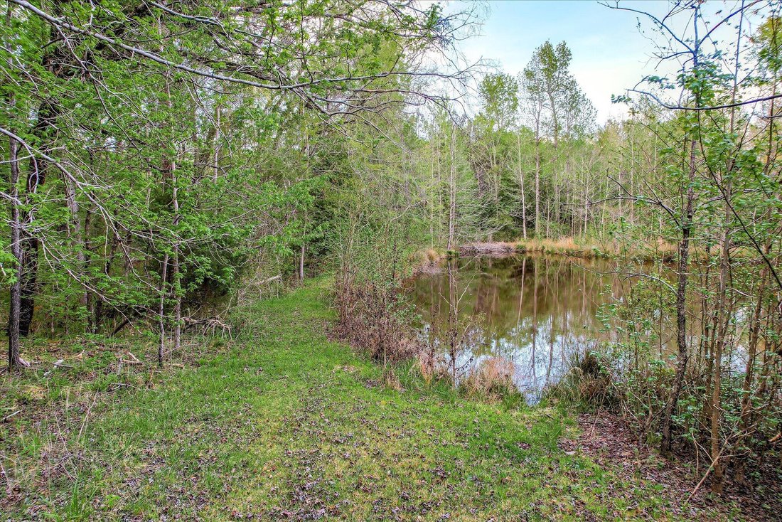 Land in Appling, Georgia, United States 2 - 17903615
