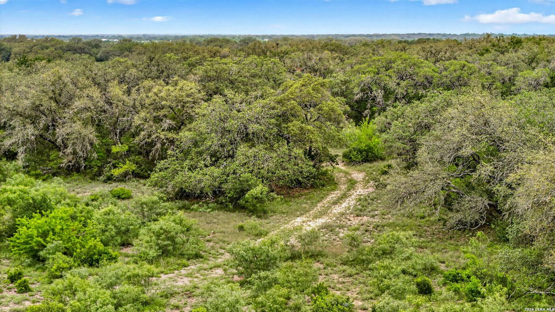 Terreno a D'Hanis, Texas, Stati Uniti 1 - 17903014