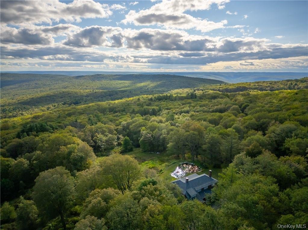 House in Cragsmoor, New York, United States 5 - 17903041
