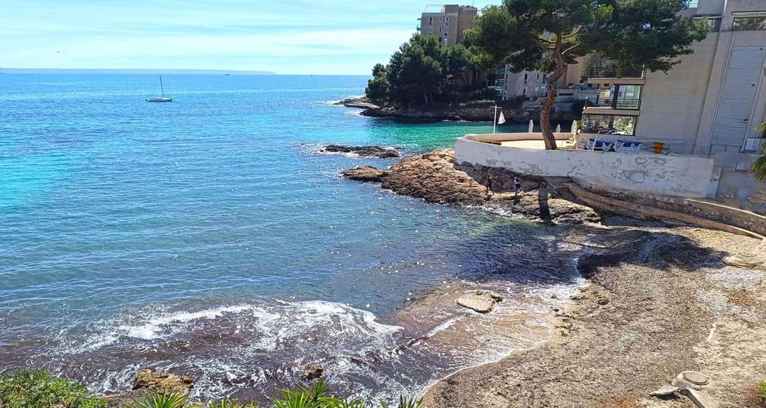 Apartment in Cas Catala, Calvia, Balearic Islands 2 - 17906578