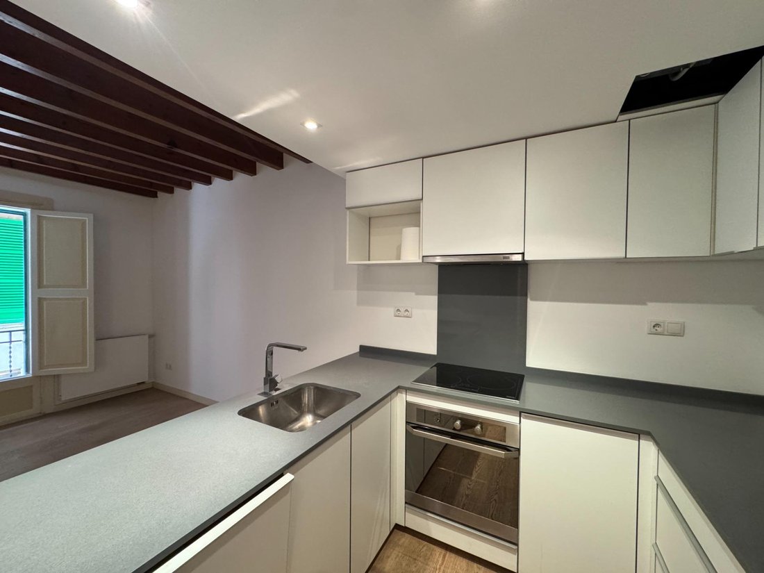 Apartment in Palma, Balearic Islands, Spain 3 - 17906709