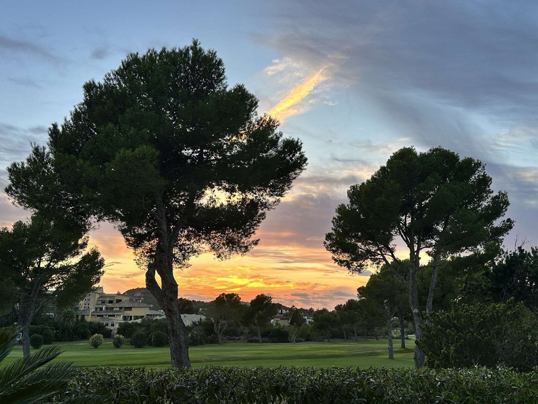 Apartment in Rotes Velles, Calvia, Balearic Islands 4 - 17904737