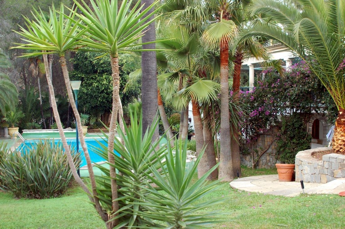 Villa in Son Vida, Palma, Balearic Islands 5 - 17905380