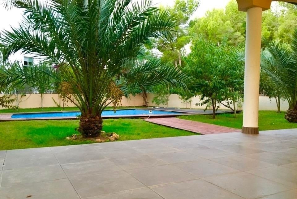 Villa in Sol de Mallorca, Calvia, Balearic Islands 2 - 17904522