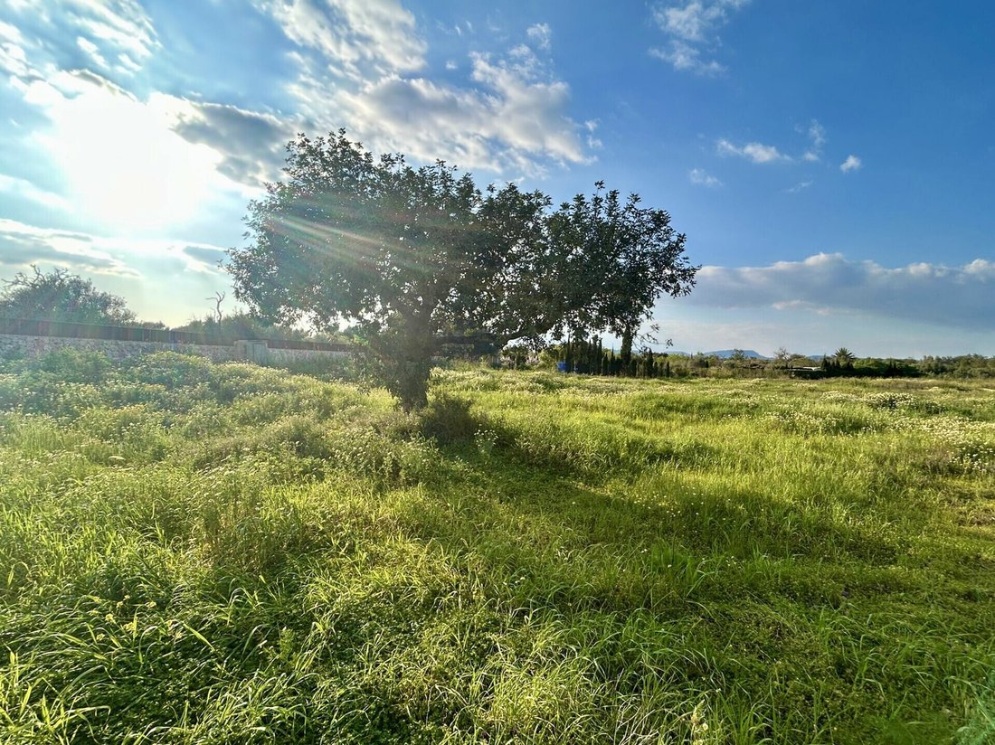 Land in Campos, Balearic Islands, Spain 2 - 17904314