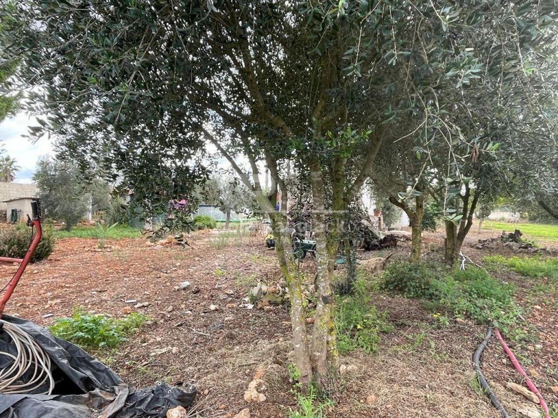 Country House in Felanitx, Balearic Islands, Spain 3 - 17905372