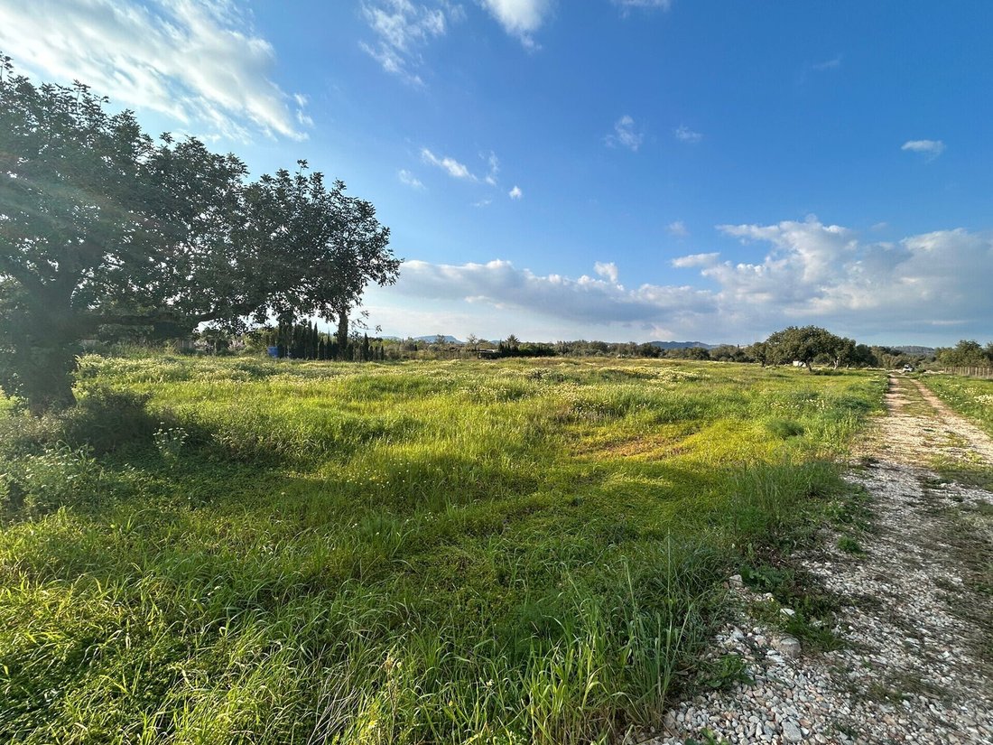 Land in Campos, Balearic Islands, Spain 1 - 17904314