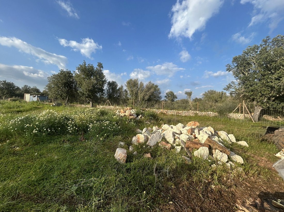 Land in Campos, Balearic Islands, Spain 5 - 17904314