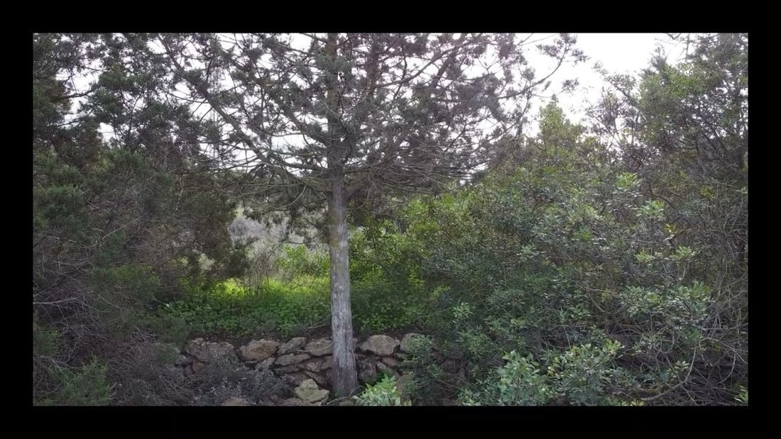Land in Sant Agusti des Vedra, Sant Josep de sa Talaia, Balearic Islands 1 - 17904228