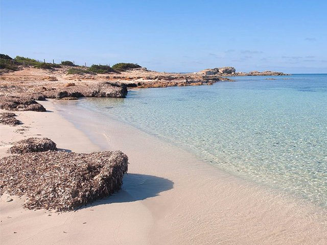 Apartment in ses Salines, Balearic Islands, Spain 5 - 17906517