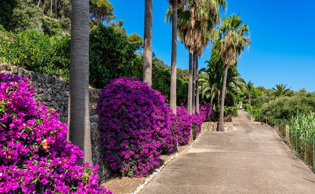 Finca in Soller, Balearic Islands, Spain 2 - 17904397