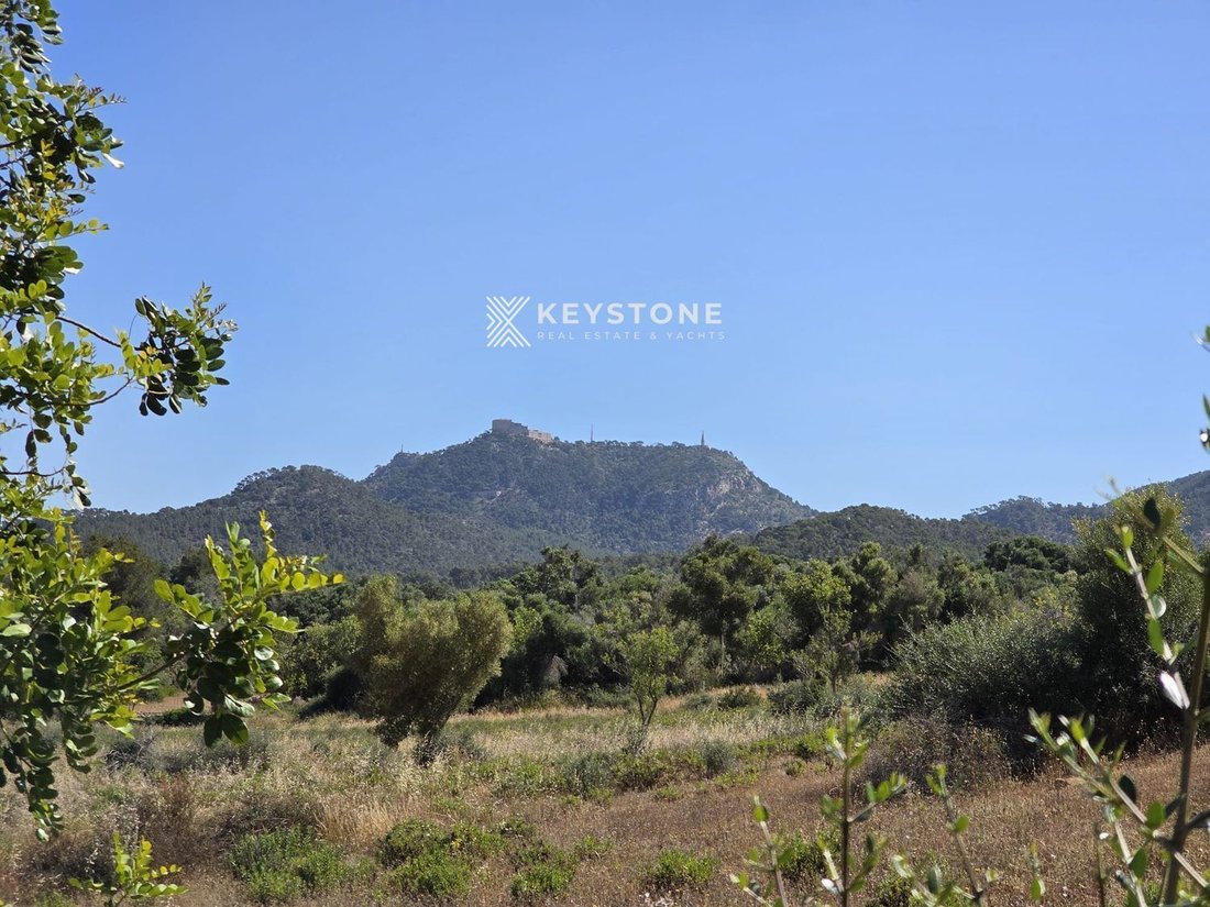 Finca in Felanitx, Balearic Islands, Spain 1 - 17906222