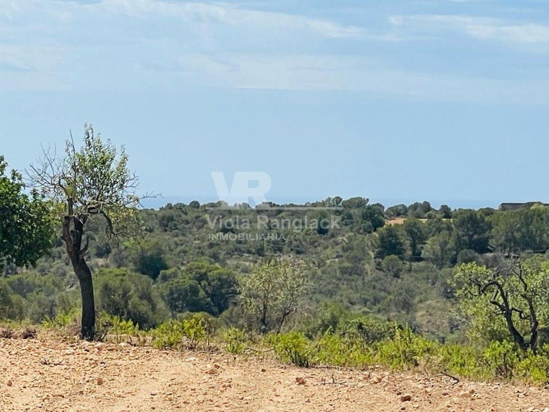 Land in Manacor, Balearic Islands, Spain 5 - 17904423