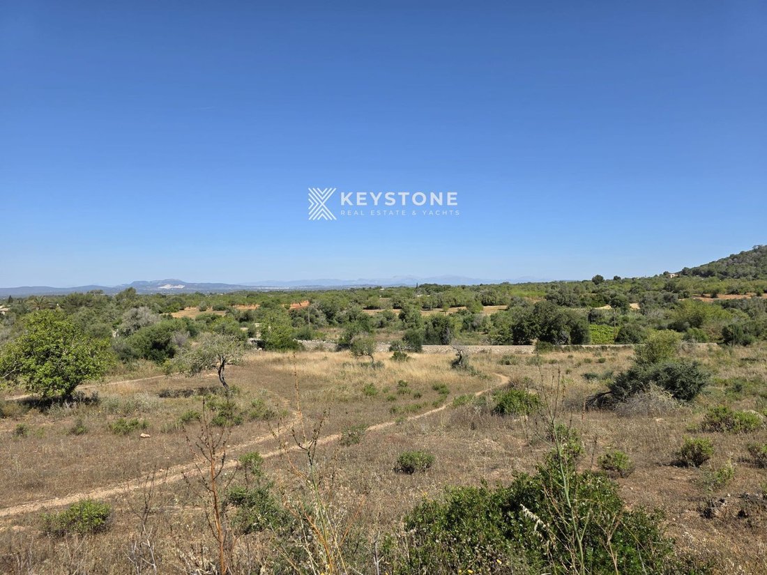 Finca in Felanitx, Balearic Islands, Spain 5 - 17906222