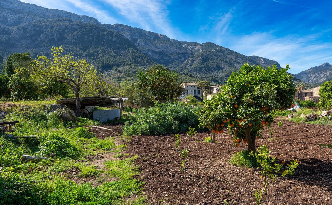 House in Soller, Balearic Islands, Spain 3 - 17904662