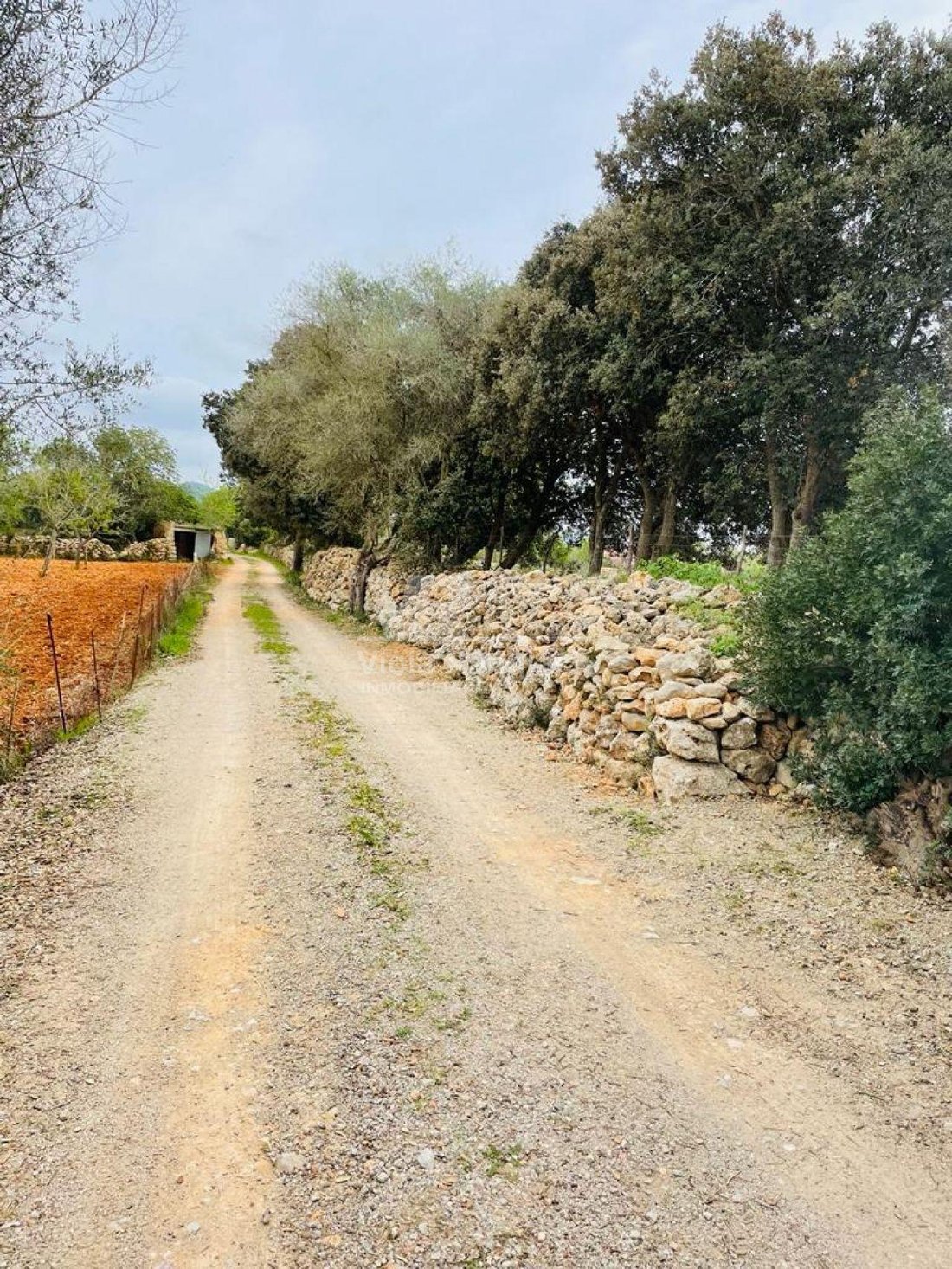 Land in Felanitx, Balearic Islands, Spain 5 - 17904259