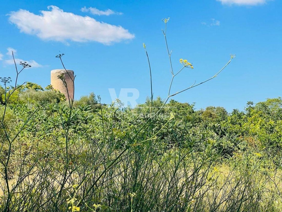 Land in Felanitx, Balearic Islands, Spain 5 - 17904231