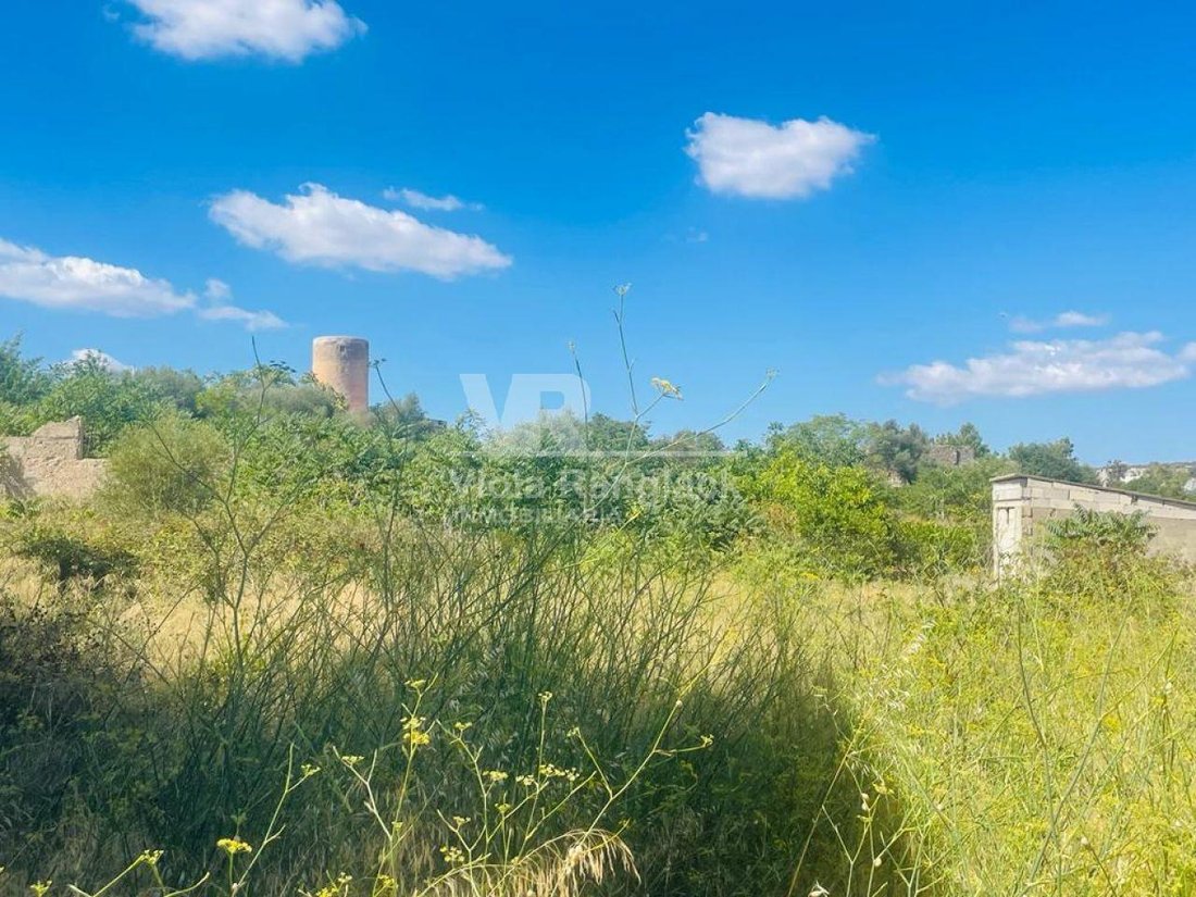 Land in Felanitx, Balearic Islands, Spain 2 - 17904231