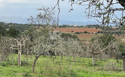 Terrain à Ariany, Îles Baléares, Espagne 1