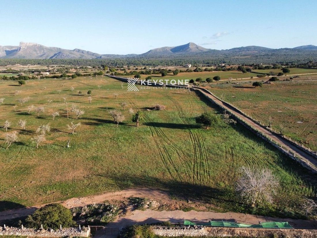 Country House in Son Serra de Marina, Santa Margalida, Balearic Islands 3 - 17906292
