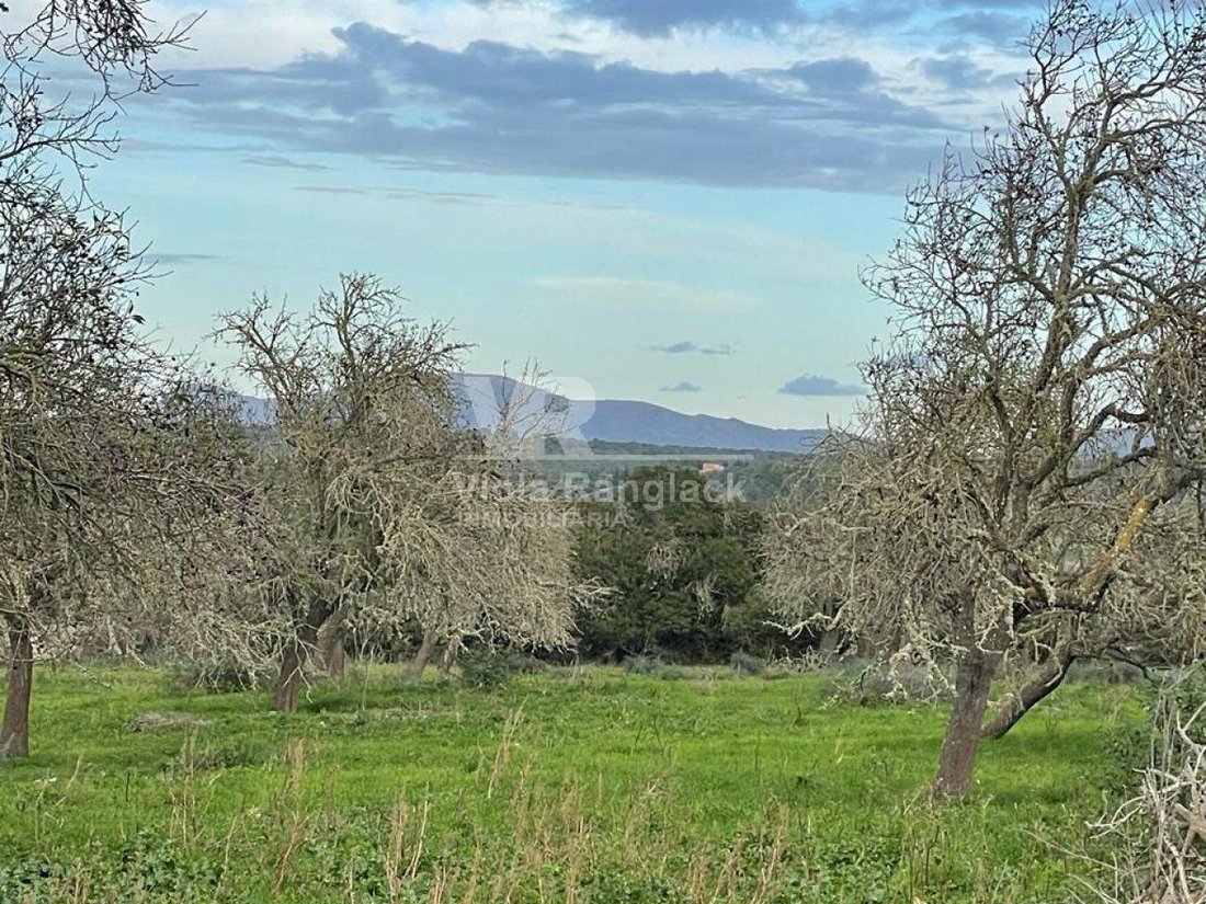 Land in Ariany, Balearic Islands, Spain 3 - 17904375