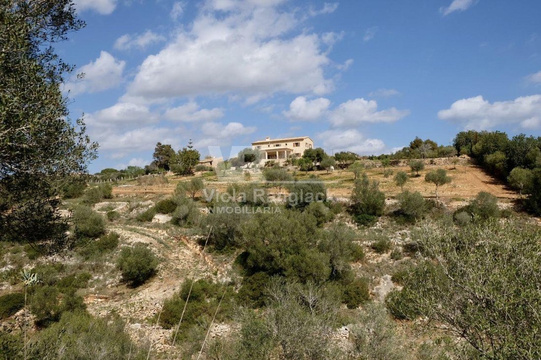 Finca in Manacor, Balearic Islands, Spain 3 - 17905230