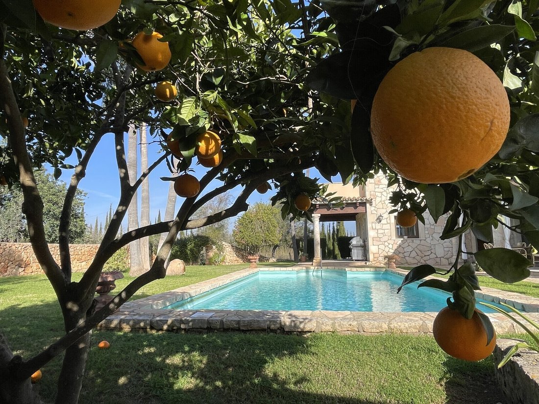 Finca in Campos, Balearic Islands, Spain 2 - 17904607