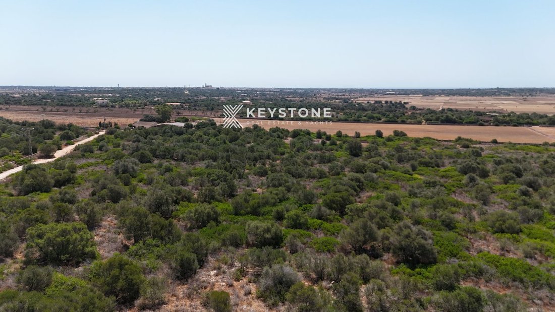 Land in Santanyi, Balearic Islands, Spain 5 - 17904245