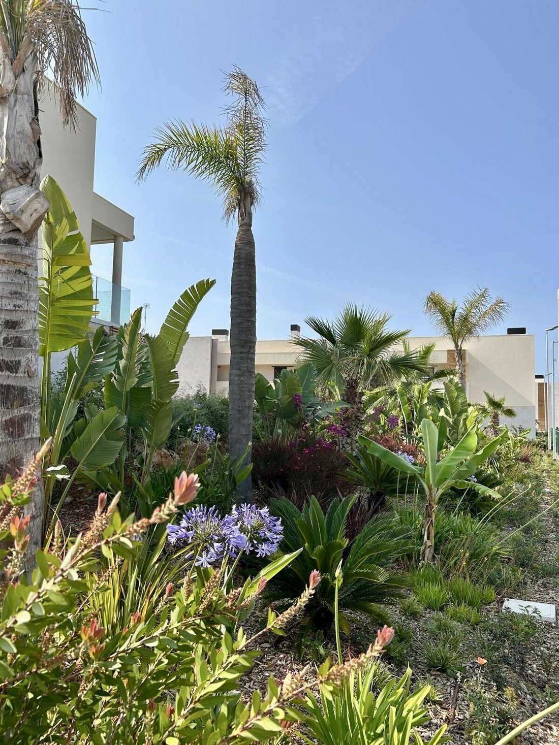 Apartment in Campos, Balearic Islands, Spain 5 - 17905987