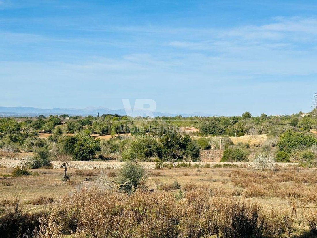Land in Felanitx, Balearic Islands, Spain 1 - 17904290