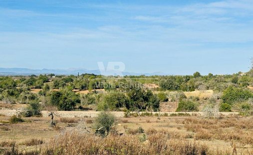 Land in Felanitx, Balearische Inseln, Spanien 1
