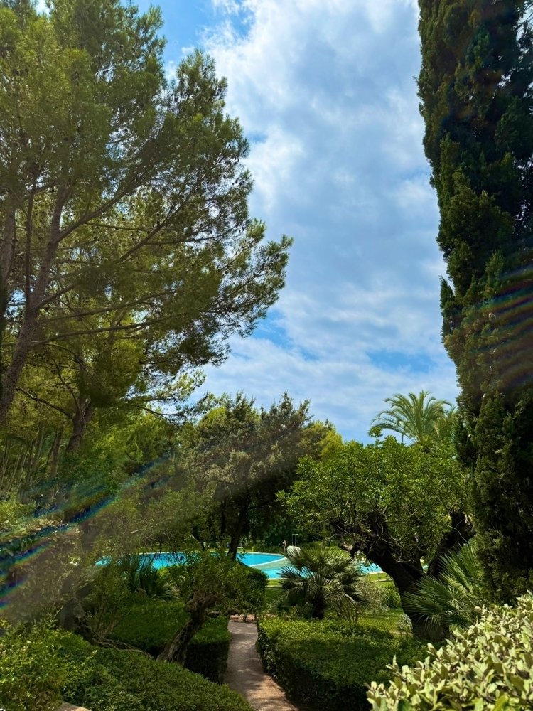 Attico a Portals Nous, Calvià, Isole Baleari 3 - 17905396