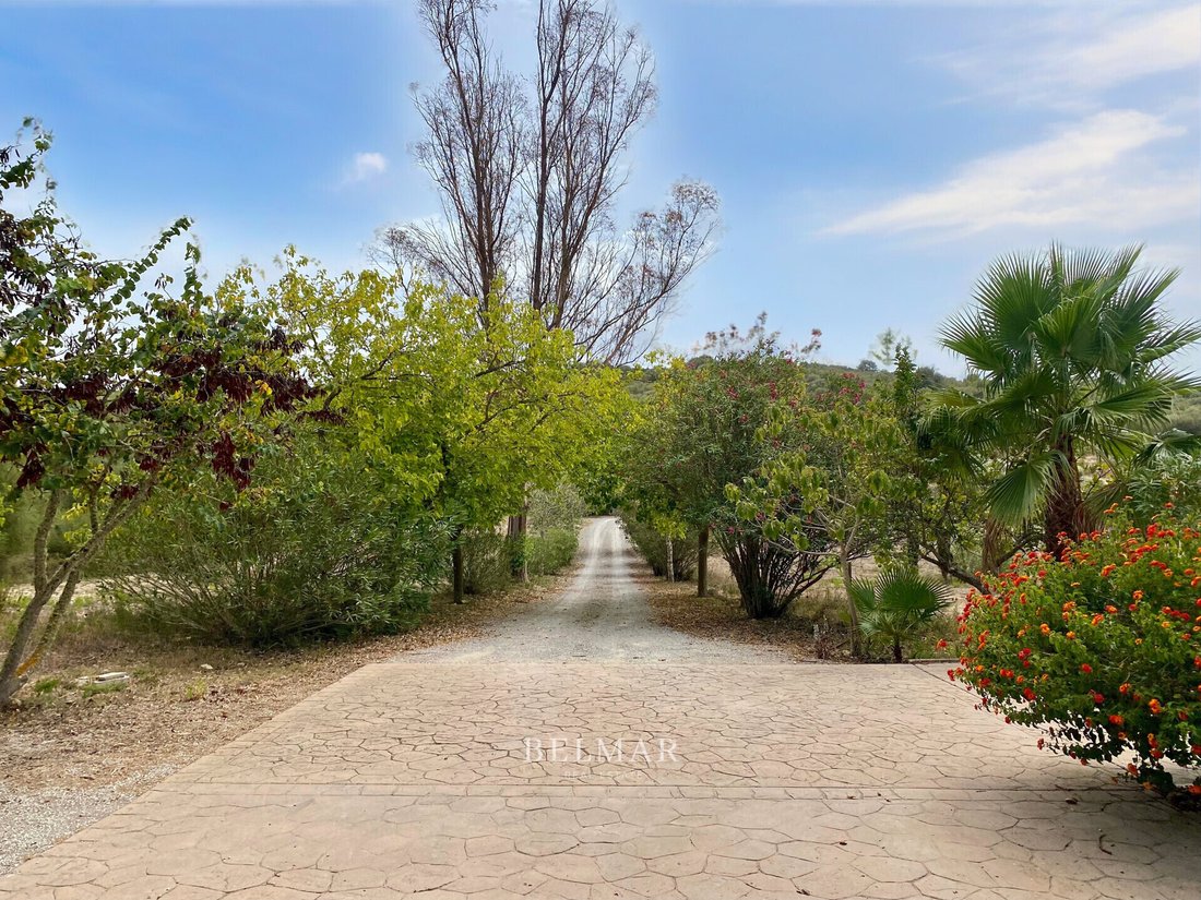 Finca in Sineu, Balearic Islands, Spain 3 - 17904524