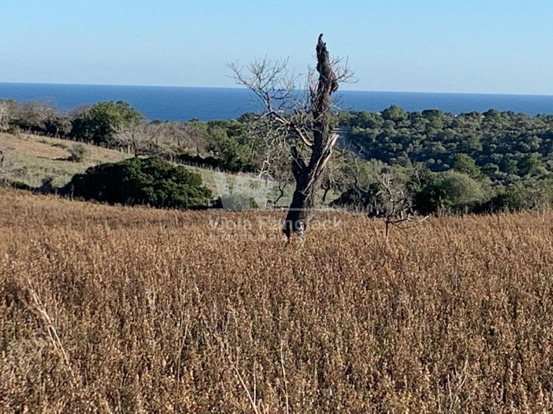 Finca in Manacor, Balearic Islands, Spain 4 - 17904968