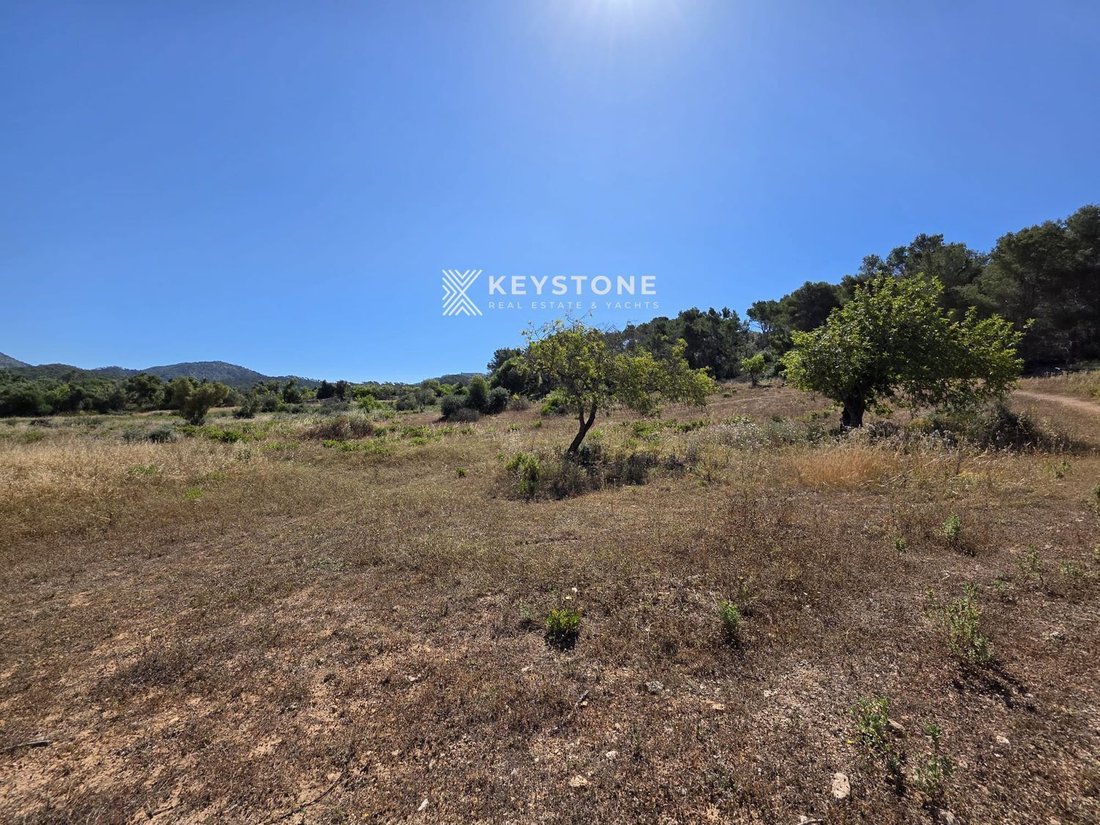 Finca in Felanitx, Balearic Islands, Spain 2 - 17906222