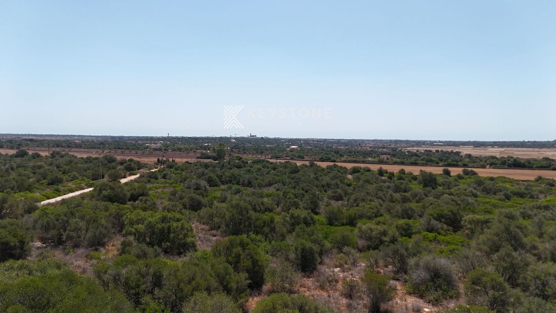 Land in Santanyi, Balearic Islands, Spain 3 - 17904245