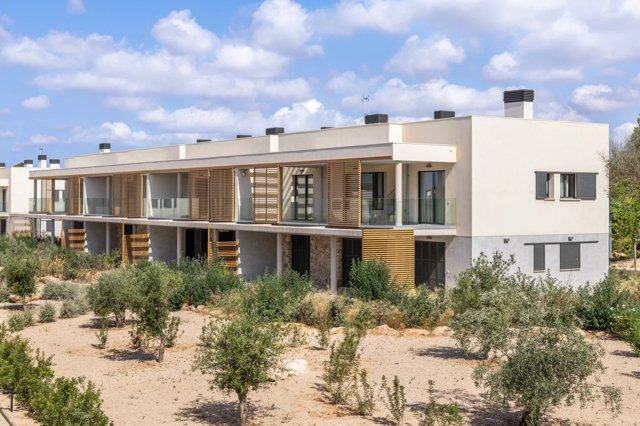 Apartment in Campos, Balearic Islands, Spain 2 - 17906301