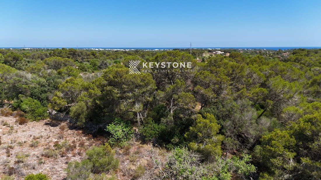 Land in s'Alqueria Blanca, Santanyi, Balearic Islands 1 - 17904312